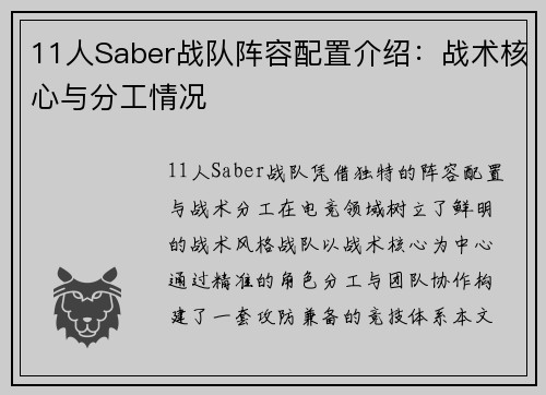 11人Saber战队阵容配置介绍：战术核心与分工情况