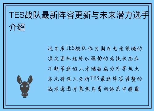 TES战队最新阵容更新与未来潜力选手介绍